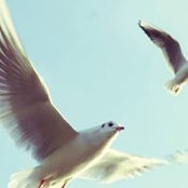 Cecilia Byberg's photo
