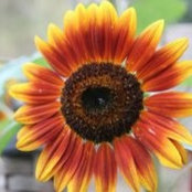 Jenny Barr's photo