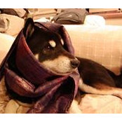 Chigusa Terajima's photo