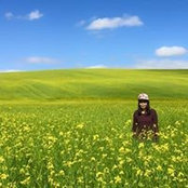 Wenn Yeung's photo