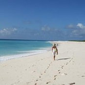 Sarah Toule's photo