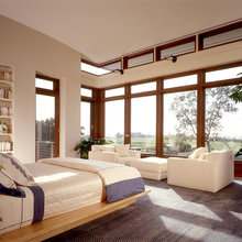 roof/windows