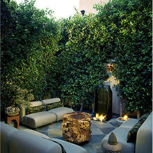 Patio Ideas