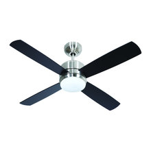 Fans
