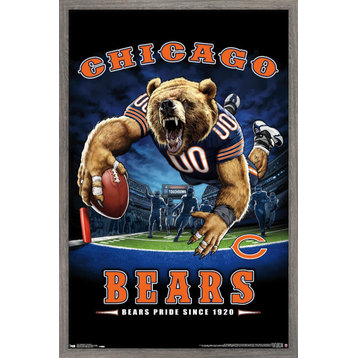 NFL Chicago Bears - End Zone 17