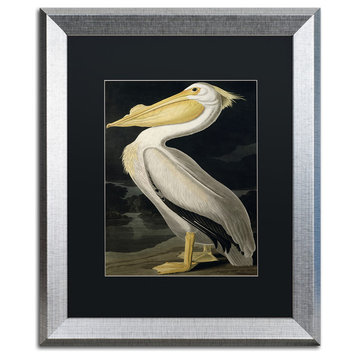 'American White Pelican' Silver Framed Canvas Art by John James Audubon