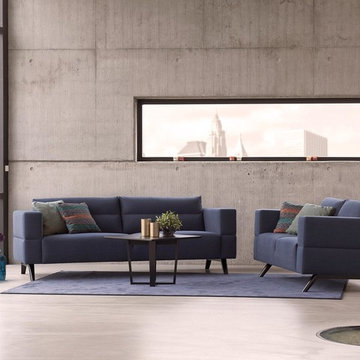 Sofas and Loveseats