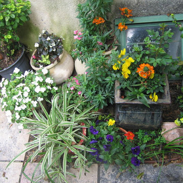 houses and gardens in Israel