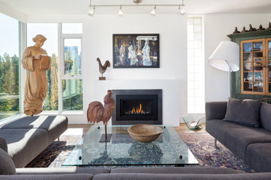 Living room - contemporary living room idea in Vancouver