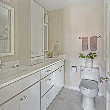 Transitional Updates - Naperville, IL