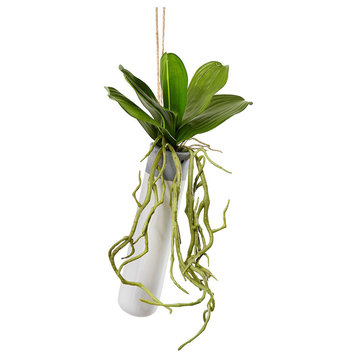 Serene Spaces Living Hanging Ceramic Planter with Orchid Leaves and Roots