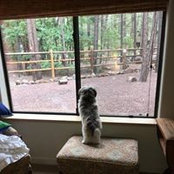 Kay Berguin's photo
