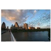 Marcia Potts's photo