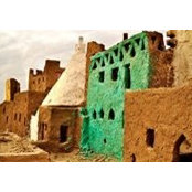 Walaa Ali's photo