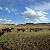 Eileen Flikkema's photo