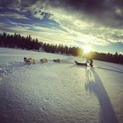 Foto von Rovens Pritula