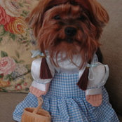Foto de idealady1