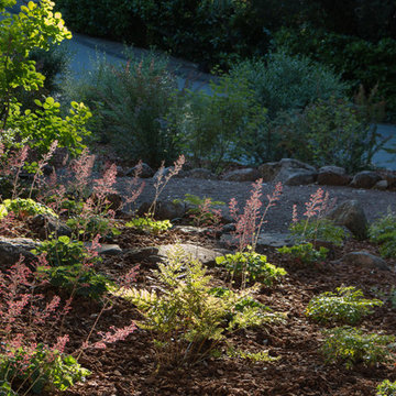 Orinda 4