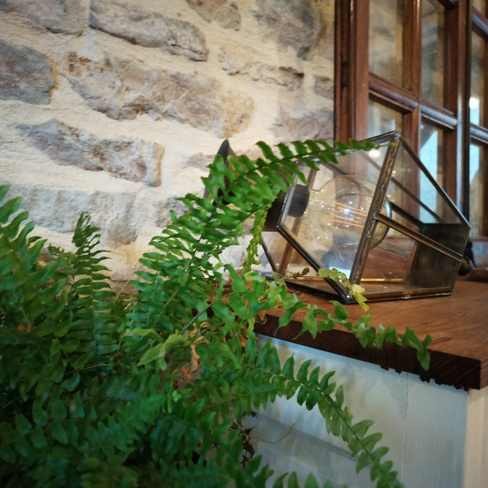 Example of a cottage living room design in Dijon