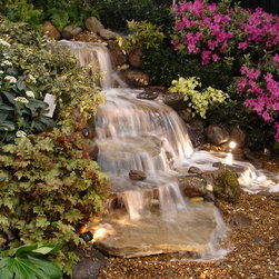 Woodland Waterfalls - Products