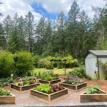 Veggie Garden Makeover
