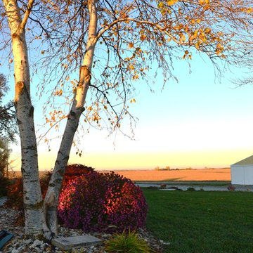 In the Country