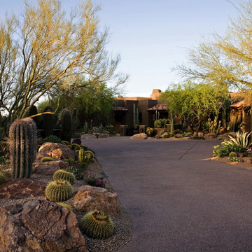 Natural Wonder - Phoenix Home & Garden