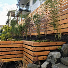 New house landscape