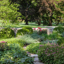 Stone garden path