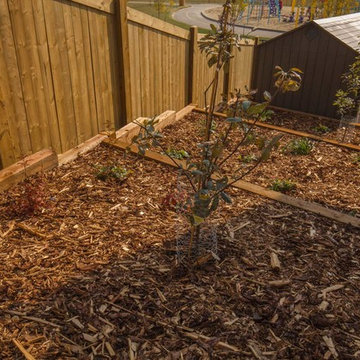 Tiers of Planter Beds