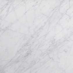 12" x 24" Honed Carrara Marble - Wall And Floor Tile