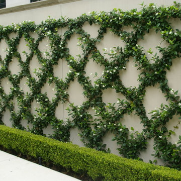 Private Residence 3