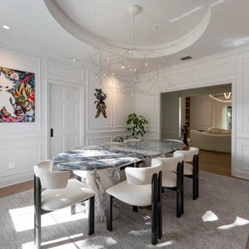 Contemporary Home Remodel Winter Park Florida