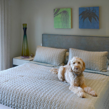 Contemporary Remodel