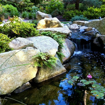 A Japanese Garden