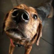 Kelly Edwards's photo