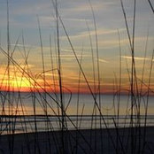 Photo de Betsy Johnston