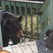 PA C's photo