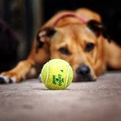 Gary Szatkowski's photo