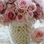 Marcie Taylor Moncrief's photo