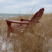 Lynn Fedewa's photo