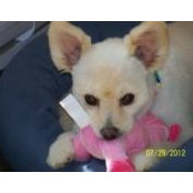 Francine Albert's photo