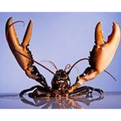 Kathy Babiak's photo