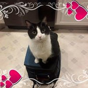 Brenda Brown's photo