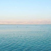Foto von Sophia Babkov