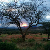 Photo de Rita Amadi