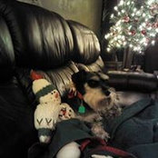 Ellen Clinton's photo
