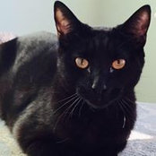 Billy Rizzuto's photo