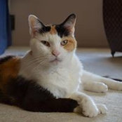 Elaine Chamberlain's photo