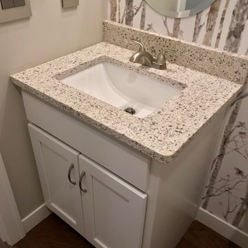 New Construction Kewanee IL MSI Quartz Koch & Dura Supreme Painted Cabinets